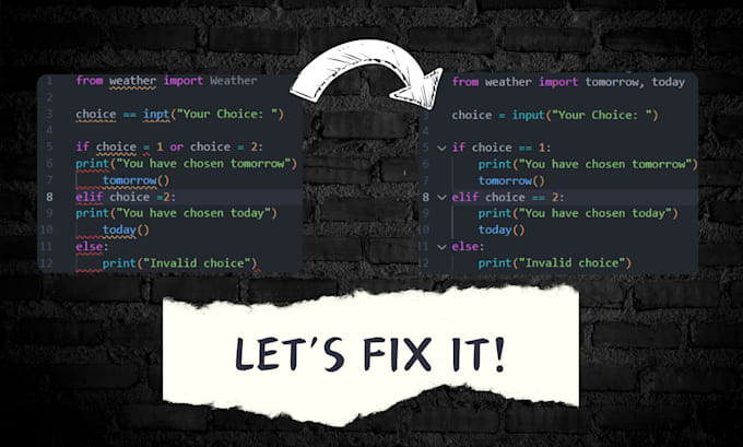 Gig Preview - Review your code and help you fix bugs in python