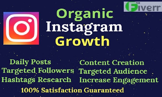 Gig Preview - Do fast organic instagram growth organically