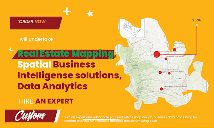 Gig Preview - Do spatial real estate, business intelligence solutions and data analytics