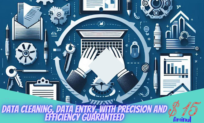 Gig Preview - Do your data cleaning, data entry, with precision and efficiency guaranteed