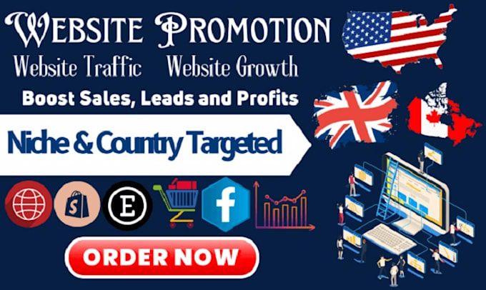 Gig Preview - Do massive organic USA,UK website traffic to increase sales worldwide