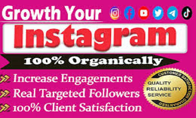 Gig Preview - Do organic instagram promotion for organic growth and monetization expert