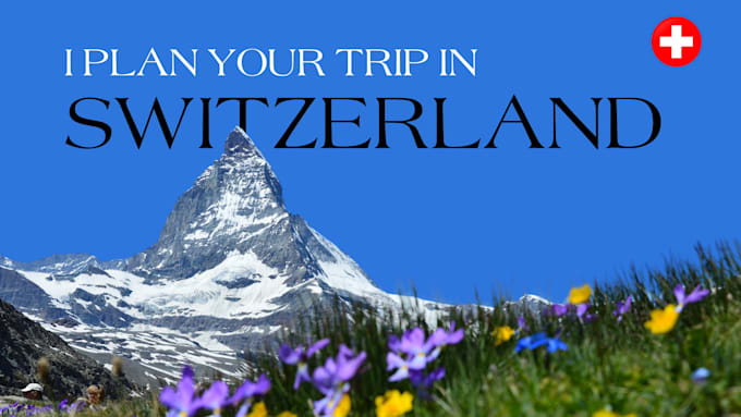 Gig Preview - Organize your trip to switzerland according to your wishes