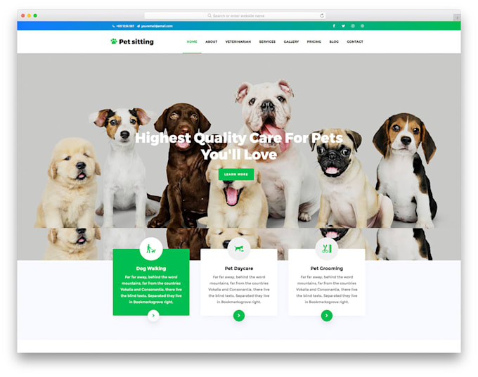 Gig Preview - Build modern animal veterinary site, pet care, pet training website