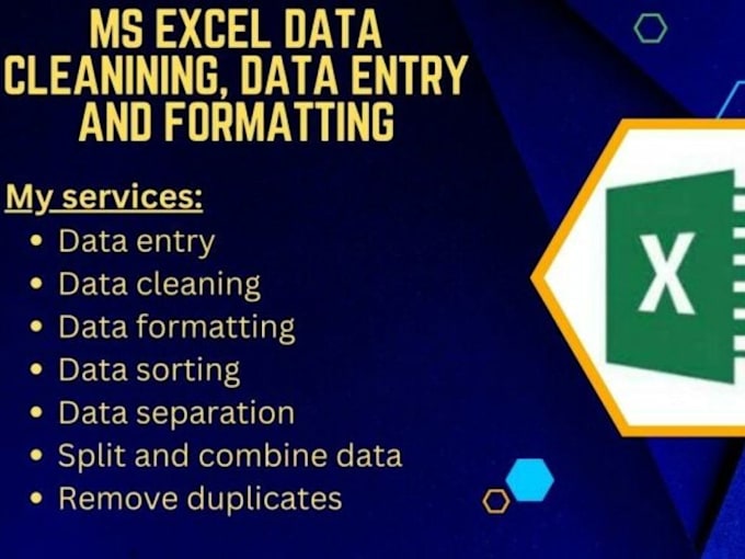 Bestseller - professional excel data cleaning, formatting, vba services