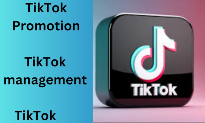 Gig Preview - Be your tiktok shop dropshipping with 3 tiktok video ads within 24 hours