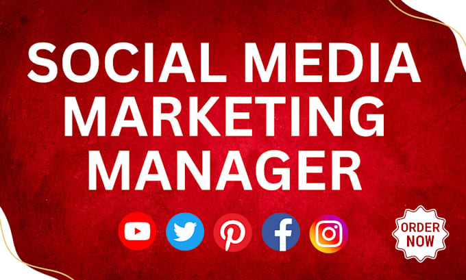 Gig Preview - Be your social media marketing manager