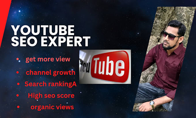 Gig Preview - Do targeted audience youtube video SEO for organic ranking