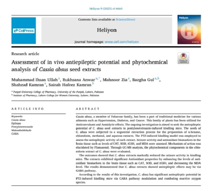 Gig Preview - Write research article and proof read