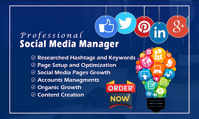 Gig Preview - Your social media marketing manager