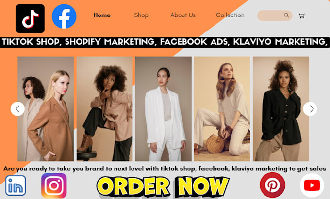 Gig Preview - Fix tiktok shop ads setup facebook shop klaviyo email for shopify dropshipping