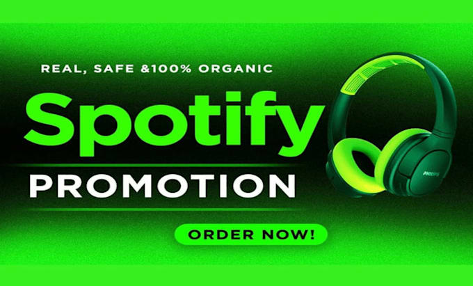 Gig Preview - Do spotify music promotion through targeted ads campaign