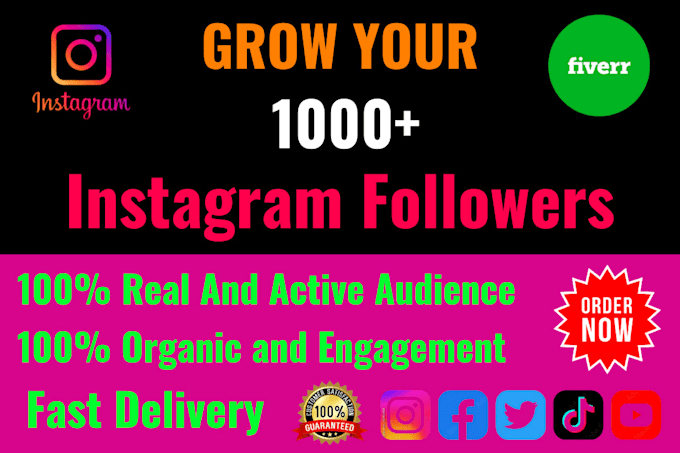 Gig Preview - Buy your instagram 1000 followers organically with fast result