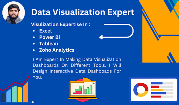 Gig Preview - Make interactive visualization dashboards