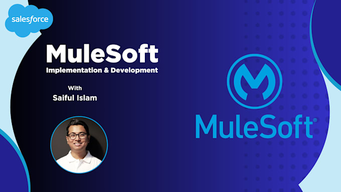 Gig Preview - Integrate and develop mulesoft API services