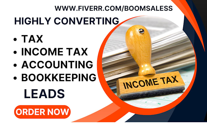 Gig Preview - Generate best tax leads financial bookkeeping accounting tax income landing page