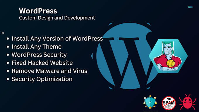 Gig Preview - Do professional wordpress development, security, and custom solutions