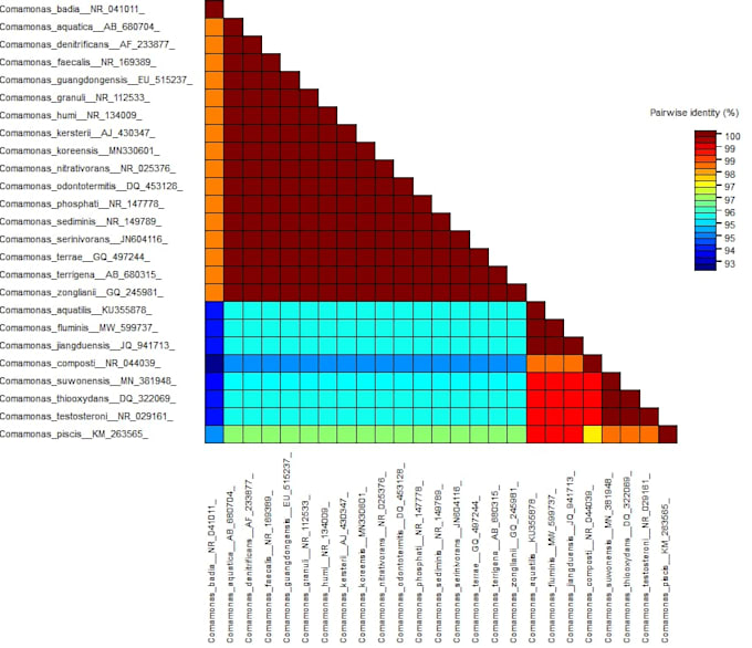 Gig Preview - Provide expert bioinformatics analysis and solutions for your projects