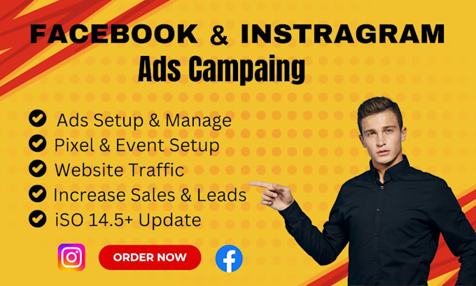 Gig Preview - Do professional facebook and instagram ads campaign manager