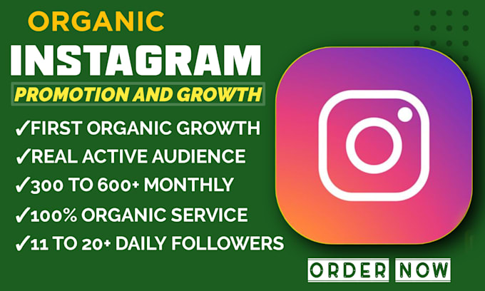 Gig Preview - Do super fast instagram organic growth to grow followers