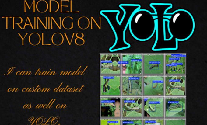 Gig Preview - Develop a yolo based object detection model for your project