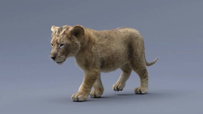 Gig Preview - Create a realistic 3d animal animation, 3d character design, 3d model, xgen fur