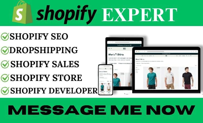 Gig Preview - Customization shopify products, install products theme, import products to store