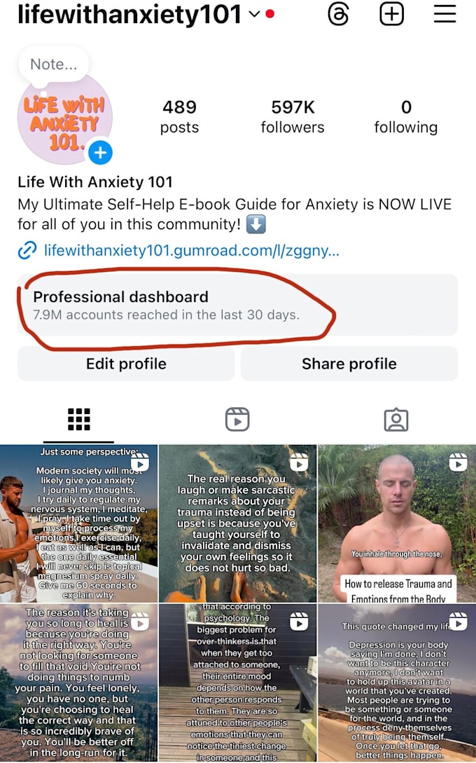 Gig Preview - Advertise your product or service on my 632k instagram account