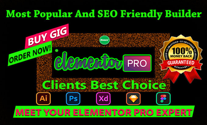 Gig Preview - Design clean and modern wordpress website as an elementor pro expert