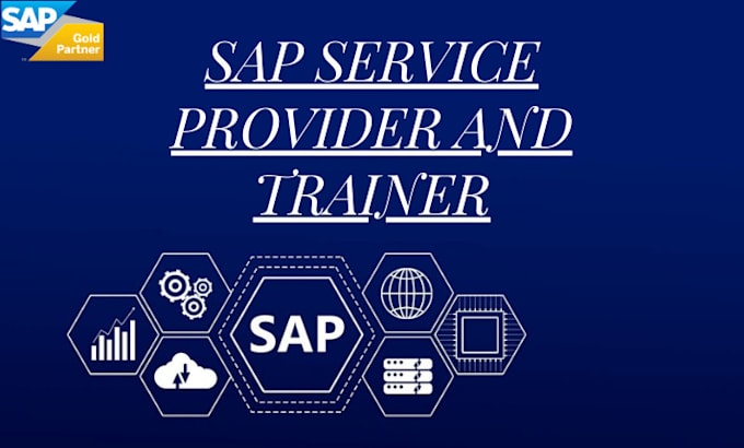 Gig Preview - Be your sap service provider and trainer