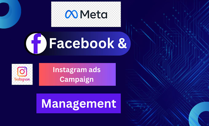 Gig Preview - Setup your facebook and instagram ads campaign