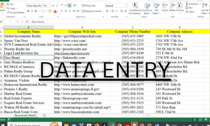 Gig Preview - Do data entry, scraping, web research and copy paste job