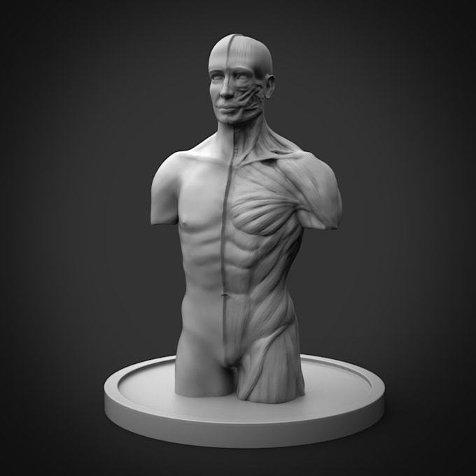 Gig Preview - Be your zbrush sculptor sculpting various kind of 3dmodel with advanced features