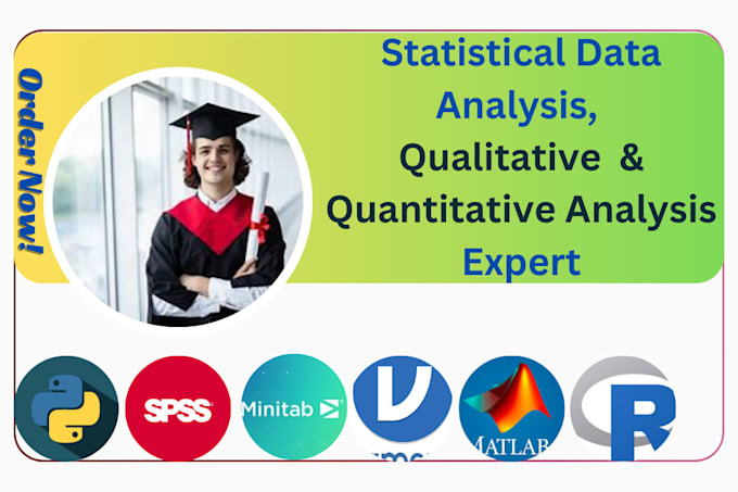 Gig Preview - Do statistical data analysis, qualitative and quantitative research and analyst