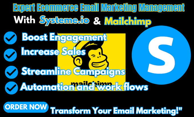 Gig Preview - Manage your ecommerce  email marketing campaigns with systeme io and mailchimp