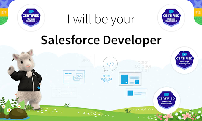 Gig Preview - Provide salesforce custom development and integration