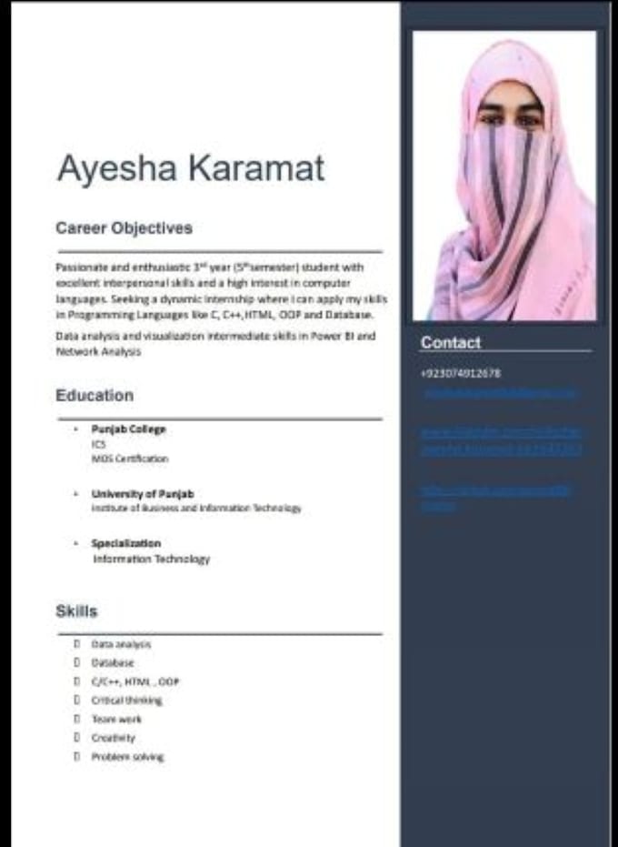 Bestseller - professional style resume builder