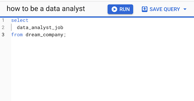 Gig Preview - Help you get a data analyst job in tech