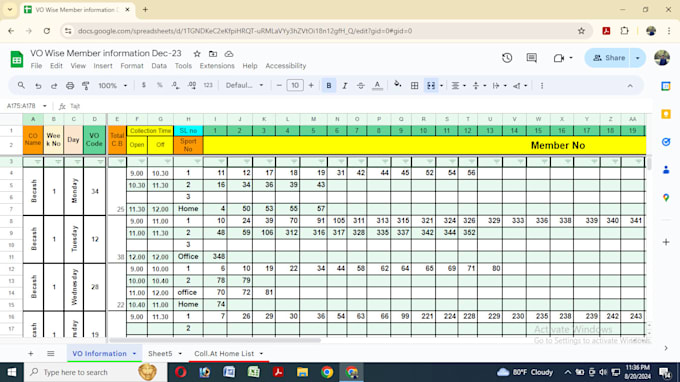 Gig Preview - Build a custom google sheets or excel  for you