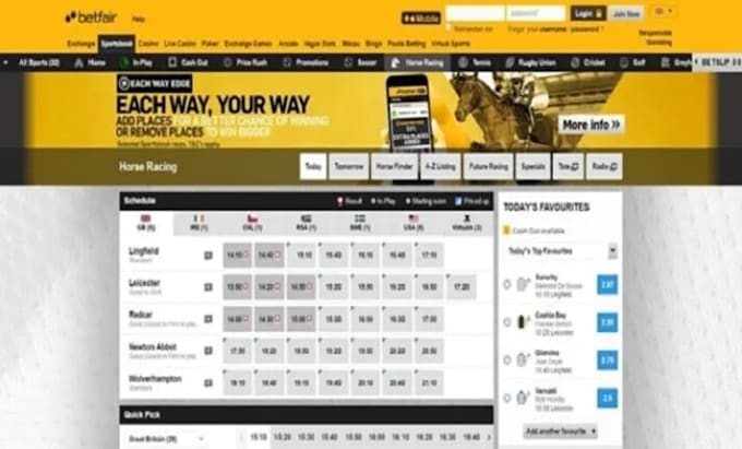 Gig Preview - Develop clone sportsbook, 1x bet, betfaire website, bet365, sport bet website