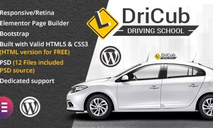 Gig Preview - Driving school website driving instructor website driving school landing page