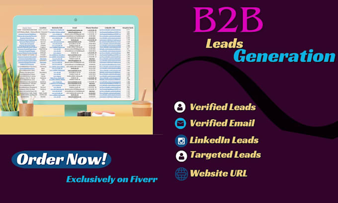 Gig Preview - Provide you accurate b2b lead generation with valid email list