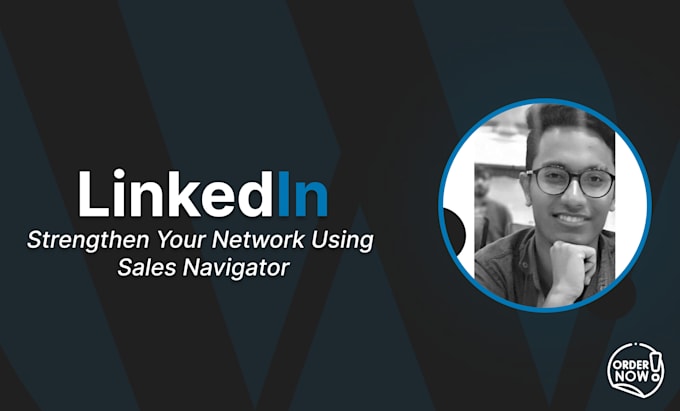 Gig Preview - Grow network using sales navigator core, linkedin