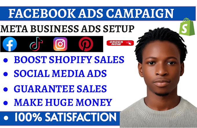 Gig Preview - Create profitable fb ads campaign and run targeted tiktok ads for your business