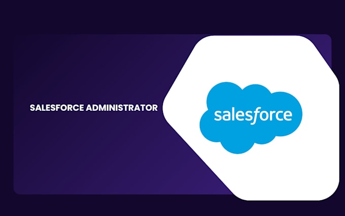 Gig Preview - Be your expert salesforce admin and customize