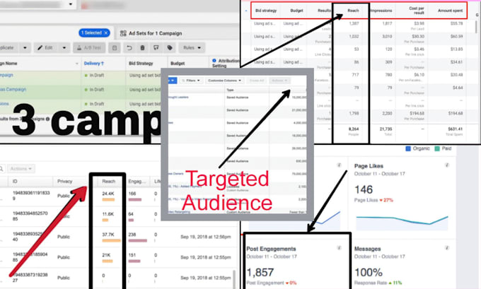 Gig Preview - Create high converting fb and ig paid ad campaigns