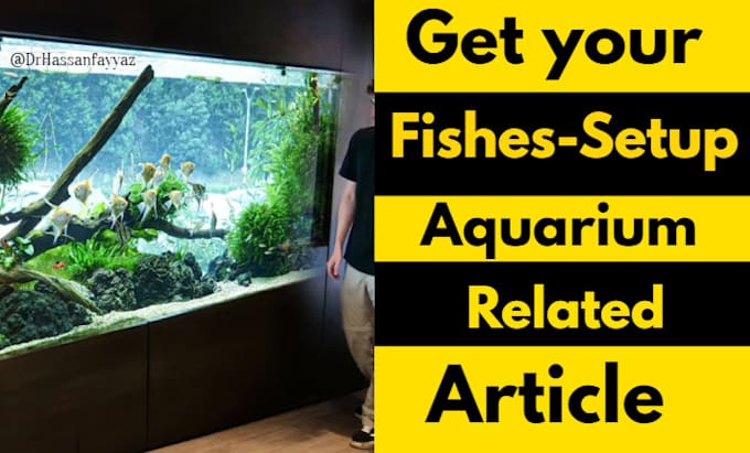 Gig Preview - Write experienced article on aquarium and fish