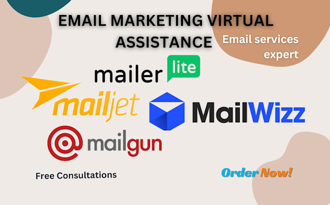 Gig Preview - Setup mailwizz, mailer lite, mailgun, email campaign and automation, VA