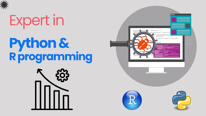 Gig Preview - Provide professional r and python project support and tutoring
