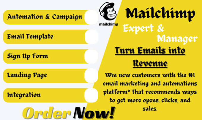 Gig Preview - Do mailchimp email campaign template design automation email marketing